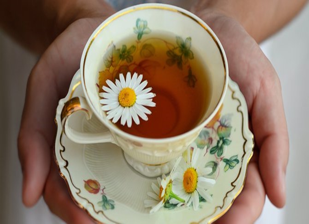 Ромашковый чай в домашних условиях