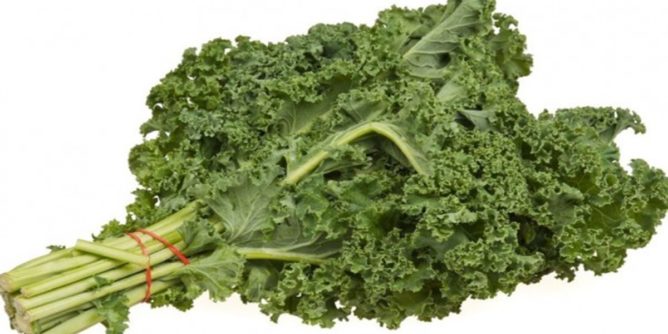5 Khasiat Sayur Kale Dalam Kesehatan