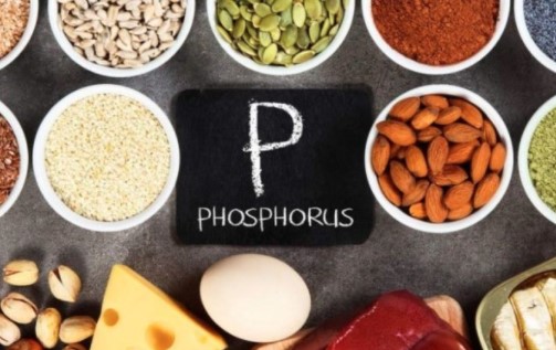 8 Makanan Tinggi Fosfor, dari Sumber Nabati hingga Hewani