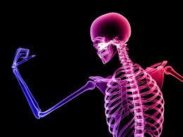 Tulang kita lebih lemah dibanding tulang nenek moyang purba, apa yang bisa  kita lakukan