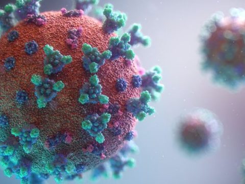 5 Mitos Virus